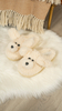 Winter Cotton slippers product 2024 home fashion dogshape fur women indoor slipper cotton soft support OEM ODM service