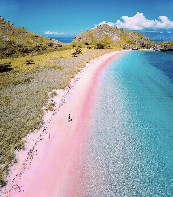 pink beach